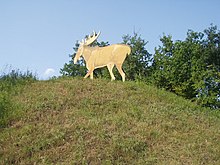 Городище в с. Городне Краснокутського району