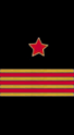 нарукавный знак ВМФ