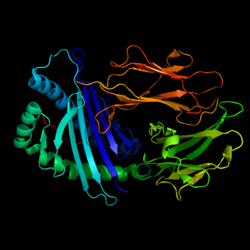 Melanom-Antigen A1