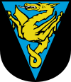 Wappen von Wildschönau