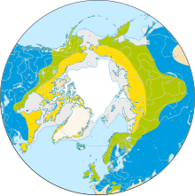 Omtrentleg geografisk utbreiing av fugleslekta Acanthis. Merk at sørgrensa for overvintringsområdet går noko utover det som kartet dekker. Den introduserte populasjonen på New Zealand kjem heller ikkje fram av kartet. ██ Berre hekking ██ Hekke og overvintring ██ Overvintring