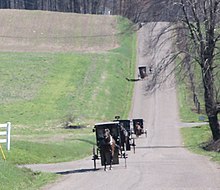 Multiple horses and buggies on a rural road