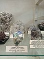 en:Azurite, en:Malachite (en:Laki, Plovdiv Province, en:Rhodope Mountains) - Collection V. Breskovska at the Sofia University "St. Kliment Ohridski" Museum of Mineralogy, Petrology and Mineral Resources