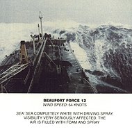 Scala Beaufort, forza 12