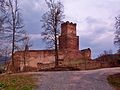 Die Burg Freudenberg