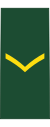 Канадская армия OR-3.svg
