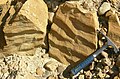 Ripplemarks in a biosparite/grainstone from the Carmel Formation, southwestern Utah.