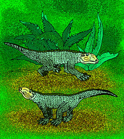 Chimaerasuchus paradoxus.jpg