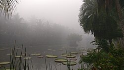 Godavari view form Dindi Resort