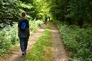 A woman walks down a path in a forest. There are bushes and trees on either side of the path. There are three more people further ahead on the path.