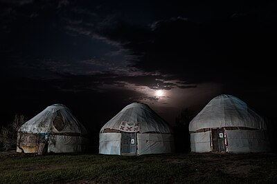 Kasakse joerte in Oesbekistan.