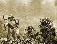Sepia photograph of a man, Kazimierz Nowak, wearing khakis and a pith helmet in the African jungle