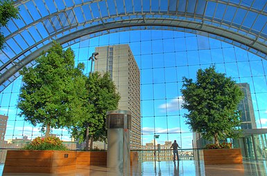 The roof garden in 2007