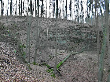 Kniggescher Kalksteinbruch