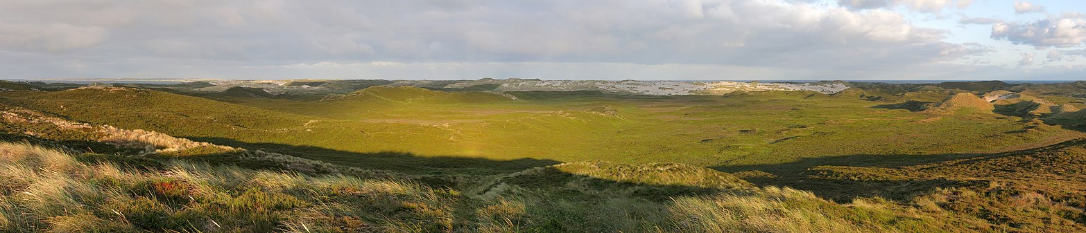 Naturschutzgebiet Nord-Sylt von der Aussichtsplattform am Jensmettenberg nordwestlich von List