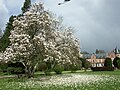 Arboretum de Balaine