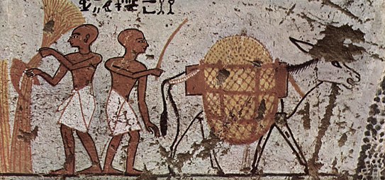 Chambre mortuaire des prêtres de Pinehesy, scène avec âne et agriculteurs Égypte antique, vers -1298,-1235.