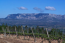 Montagne Sainte-Victoire kaj vitejoj, viditaj de la deklivo sude de Trets