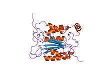 PDB 1ice EBI.jpg