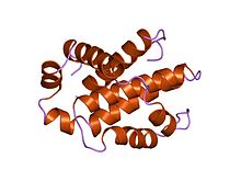 تمثيل كرتوني للتركيب الجزئي للبروتين مع الرمز 1maz