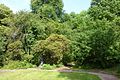 Sachgesamtheit Rittergut Thürmsdorf mit folgenden Einzeldenkmalen: Schlosskomplex und zwei Skulpturen im Park, das Mausoleum der Familie Biedermann und Gutspark (Gartendenkmal) sowie die an den Park grenzende Obstbaumwiese als Sachgesamtheitsteil