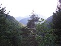 La Vallata nord del Droanello vista dal Cùel Zanzanù