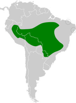 Distribución geográfica del saltarín naranja.