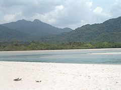 Juni 2009:River No. 2 Beach, Freetown Peninsula (Sierra Leone)