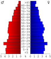 Bevolkingspiramide Newton County