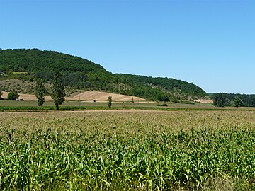 La vallée de la Chironde à Saint-Amand-de-Coly.