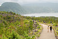 有村溶岩展望所の遊歩道