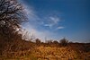 Waubesa Wetlands.jpg