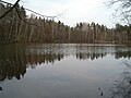 Weissensee im Reichswald