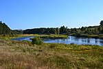 Остатки камерного шлюза Вышневолоцкой водной системы