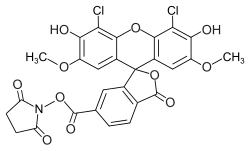 Struktur von 6-Carboxy-4′,5′-dichlor-2′,7′-dimethoxyfluorescein-N-succinimidylester