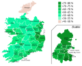 Miniatura para Referéndum constitucional sobre la interrupción del embarazo en Irlanda de 2018