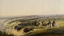 American bison being chased off a cliff as seen and painted by Alfred Jacob Miller, c. 1860 Alfred Jacob Miller - Hunting Buffalo - Walters 371940190.jpg