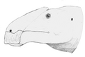 Anasazisaurus