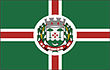 Vlag van Salvador do Sul