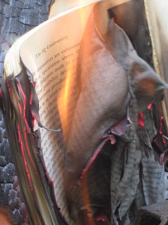 Book burning (2)