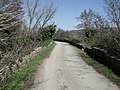 Bruck ausm 14. Joarhundad iwa'n Ente bei Molino del Ponte (Montegiovi)