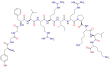 Imagen de la estructura