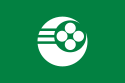 Motosu – Bandiera