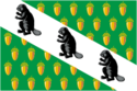 Flag of Verkhneye Dubrovo