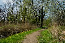 Pad over de dijk langs de oostzijde (Het Blik)