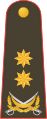 General-leytenant[७] (Azerbaijani Land Forces)