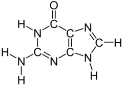 Guanine chemical structure 2