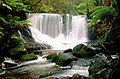 Horseshoe Falls