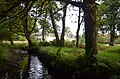 Lagafater Lodge from Laggie Burn