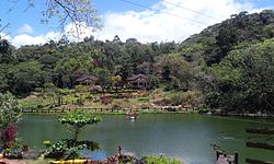 Lake in Mambukal